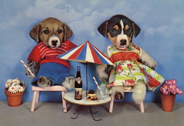 Cartes Postales Pop et Kitsch des années 50, 70 et 70 - Pop and kitsch vintage postcards from the fifties, the sixties and the seventies : Une vie de chien