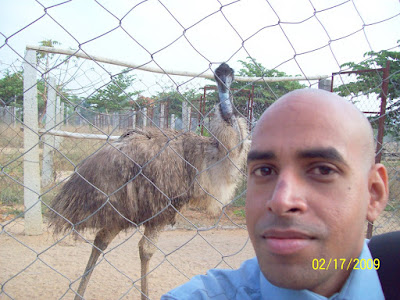 @ emu farm