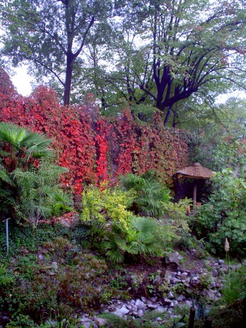 [Fall+valle.jpg]