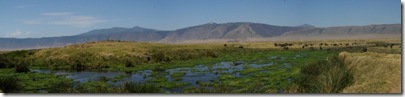Panorama Swamp