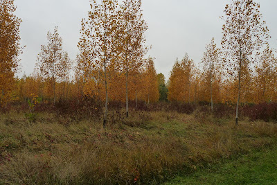 P1040149.JPG