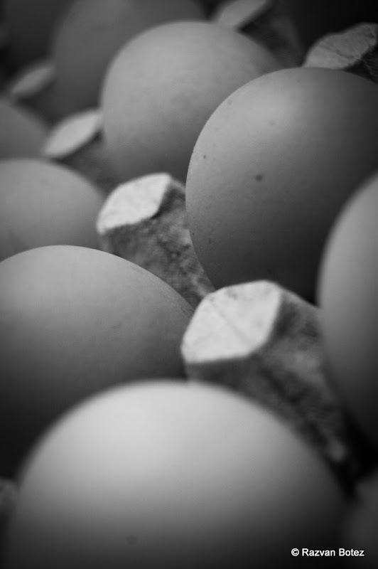 Poze: B&W: Pregătiţi vă oole... dsc 7892 Poze: B&W: Pregătiţi vă oole...