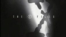 xfiles