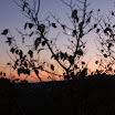 IMG_4432.JPG