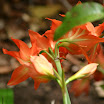 IMG_5995.JPG
