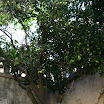 kroatien2005- 195.jpg
