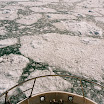 imm007.jpg