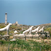 Flucke49.jpg