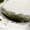 imm235.jpg