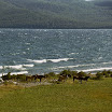 imm023-1.jpg