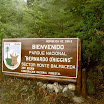 imm539.jpg