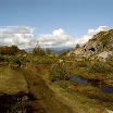 imm033-2.jpg