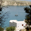 imm038-2.JPG