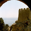 imm015-1.JPG