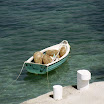 imm040.JPG