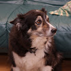 IMG_8486.JPG