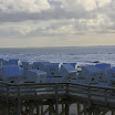 sylt-picasa_008.jpg