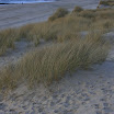 sylt-picasa_016.JPG