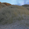 sylt-picasa_017.JPG