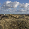 sylt-picasa_052.jpg