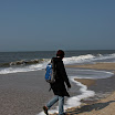 sylt-picasa_200.jpg