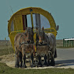 sylt-picasa_104.jpg