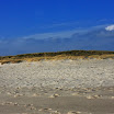 sylt-picasa_125.jpg