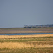 sylt-picasa_181.jpg