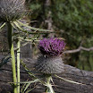 upload-suedtirol062.jpg