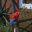 sylt-upload009.jpg