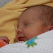 julius_0009.JPG