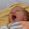 julius_0020.JPG
