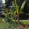06-2009-bodensee-102.jpg