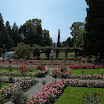06-2009-bodensee-105.jpg