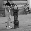 06-2009-bodensee-242.jpg