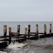 _MG_6820.JPG