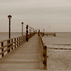 _MG_6856.JPG