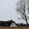 _MG_6899.JPG