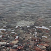 _MG_6942.JPG