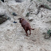 _MG_6984.JPG