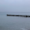 _MG_7019.JPG