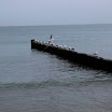 _MG_7023.JPG