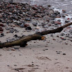 _MG_1602.JPG