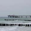 _MG_1726.JPG