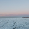 _MG_0404.jpg