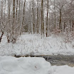 _MG_0270.jpg
