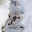 _MG_0242-Bearbeitet.jpg