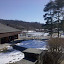 2010-02-21 12.51.10.jpg