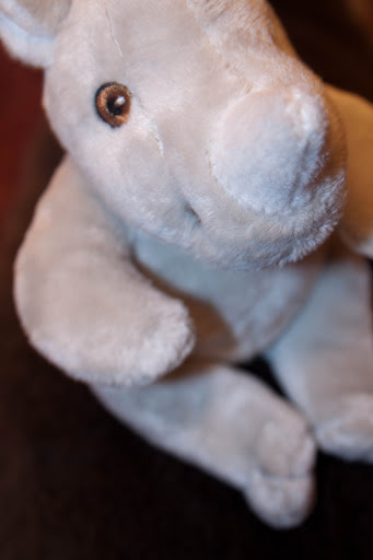 IMAGE: http://lh5.ggpht.com/_DZkpCgoYoRs/SxAd_HYEVhI/AAAAAAAABDM/r4_QUbeiOZA/s512/IMG_0811.jpg