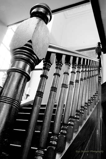 IMAGE: http://lh5.ggpht.com/_DZkpCgoYoRs/SzzK1sXuI0I/AAAAAAAADf4/dEkiLjrbLLs/s512/IMG_4573.jpg